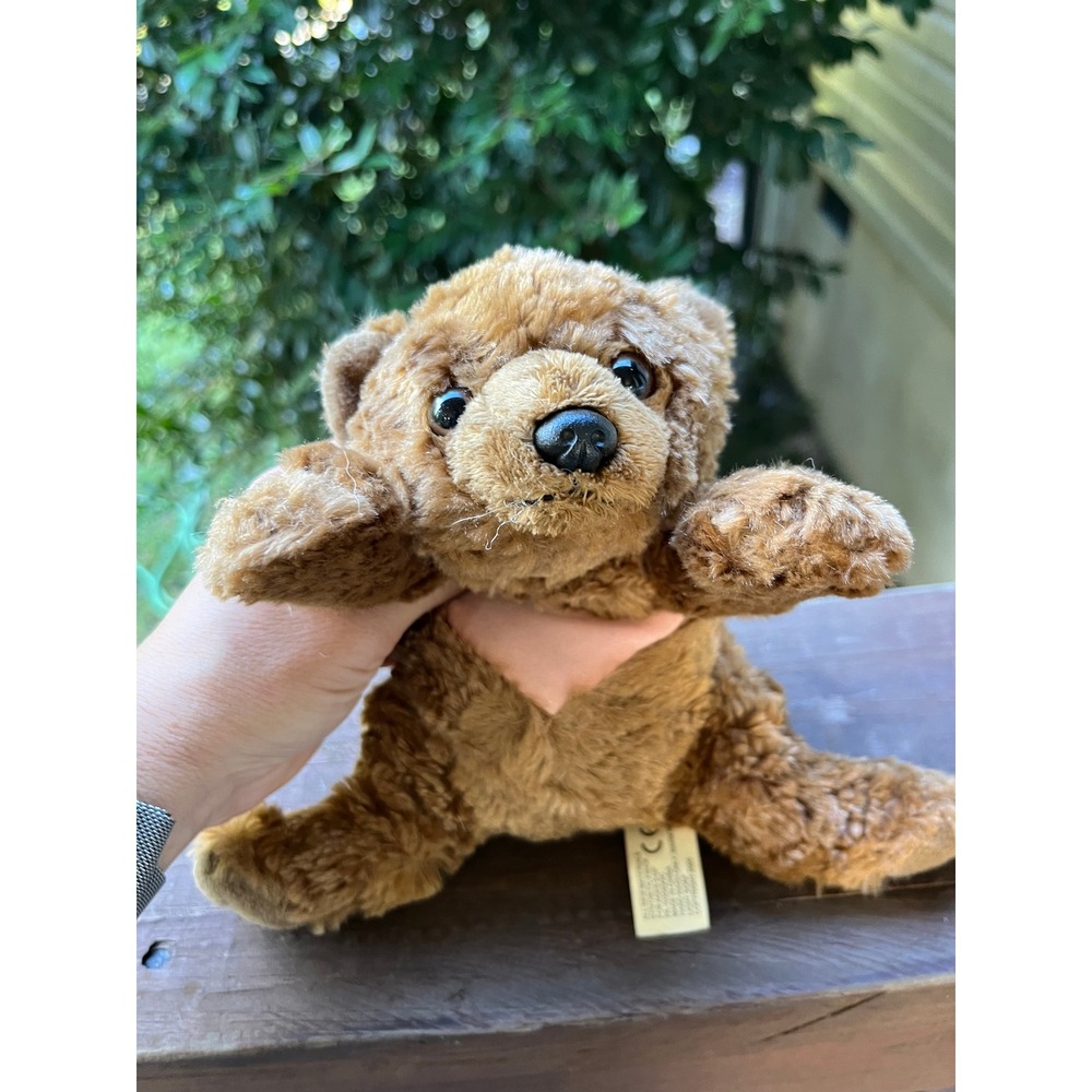 Charm's Charming Chubeez The Bear # 1 Plush Pink Heart Belly 2005 Vintage